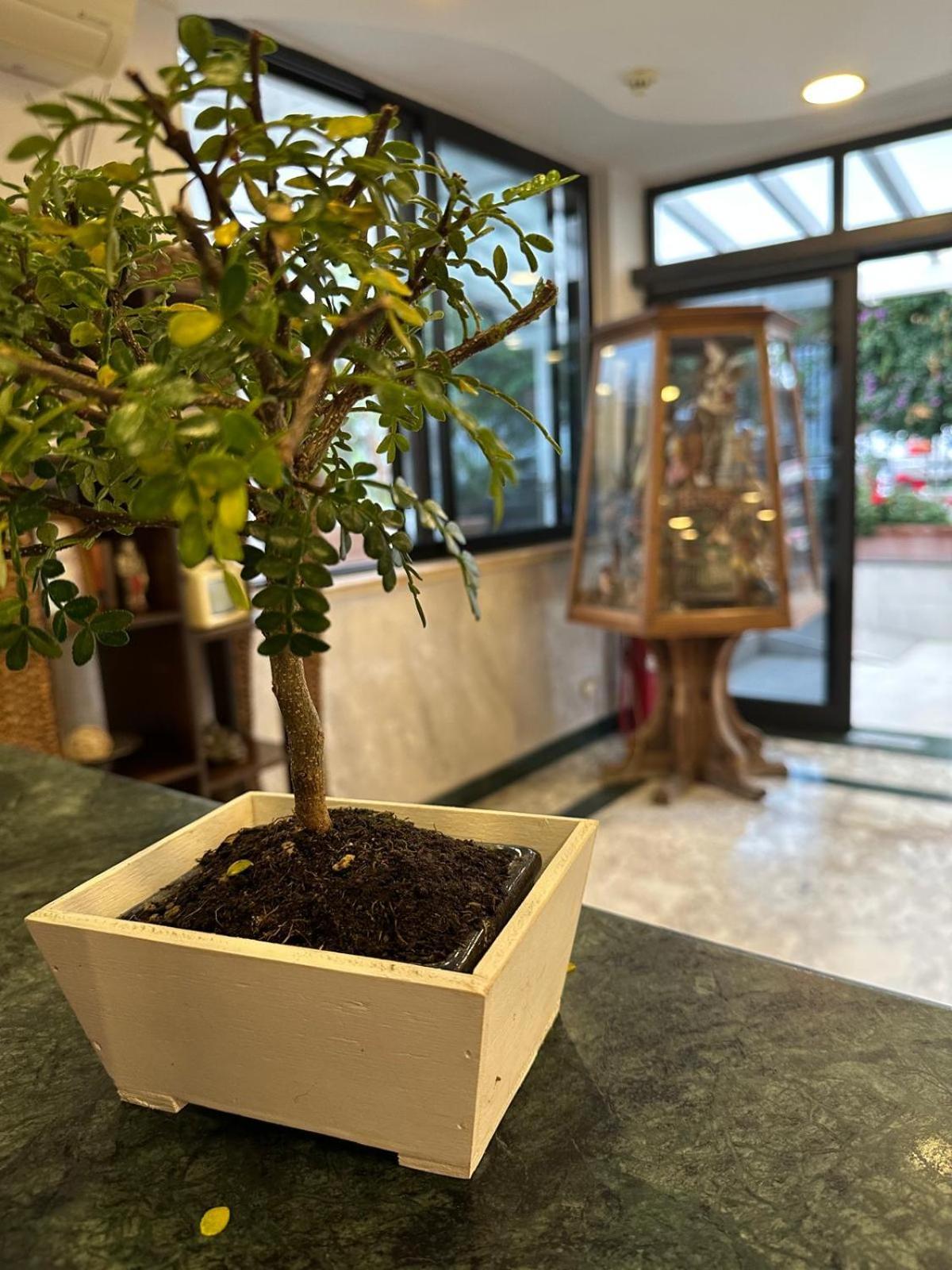 Hotel Clinton Касория Экстерьер фото